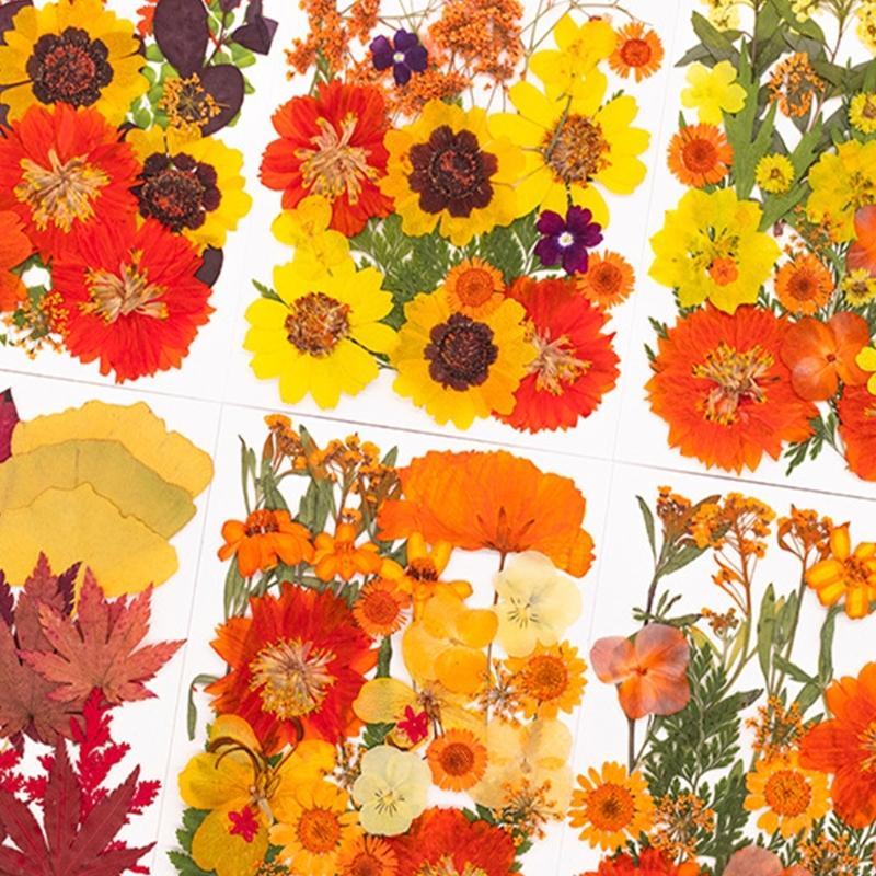 Art Craft Leaves - ดอกไม้กดแห้งสำหรับแม่พิมพ์เรซินสมุดเครื่องประดับสบู่เทียนทำ
