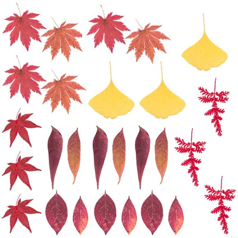 ดอกไม้กดแห้งสำหรับแม่พิมพ์เรซิ - Art Craft Leaves บทวิจารณ์และราคา