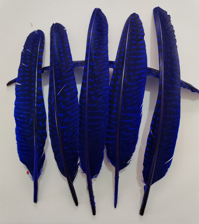 ขนนก!100 ชิ้น/ล็อต! ขนาด 14-20 - Art Quilling Craft บทวิจารณ์และราคา